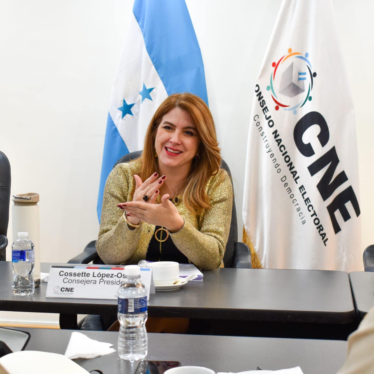 Honduras: expertos advierten sobre riesgos de fraude electoral y maniobras en el CNE